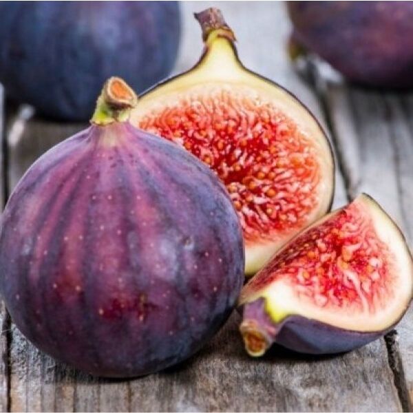 File:Fig.jpg